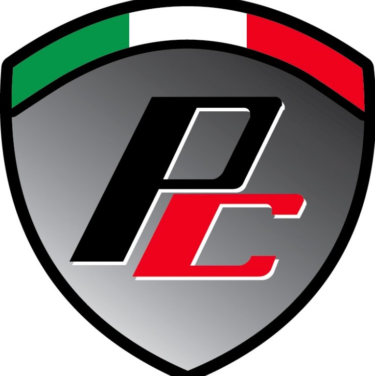 PROFESSION CAR SRL